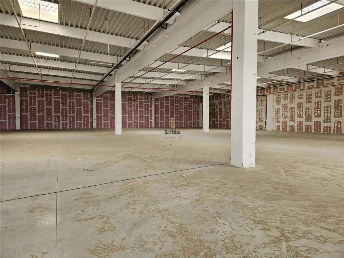 Spatiu Industrial - 9500 mp - Logistica - Productie - Depozitare - Distributie - foto 9