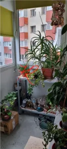 Vanzare apartament 3 camere Tei - foto 11