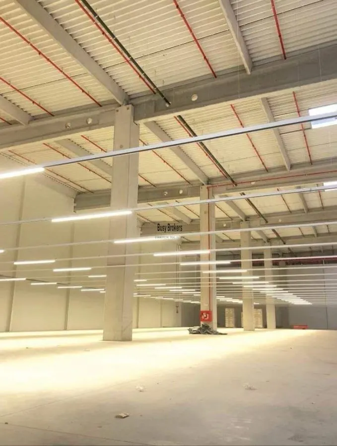 Spatiu Industrial - 4000 mp - Logistica - Productie - Depozitare - Distributie - foto 3