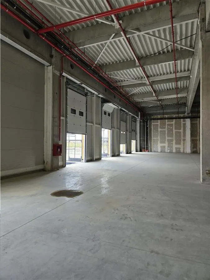 Spatiu Industrial - 4000 mp - Logistica - Productie - Depozitare - Distributie - foto 8