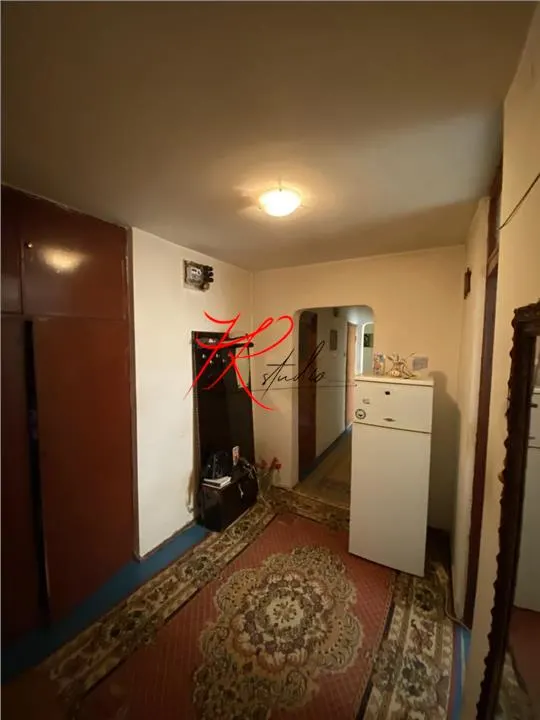 Vanzare apartament 3 camere Teiul Doamnei - foto 7