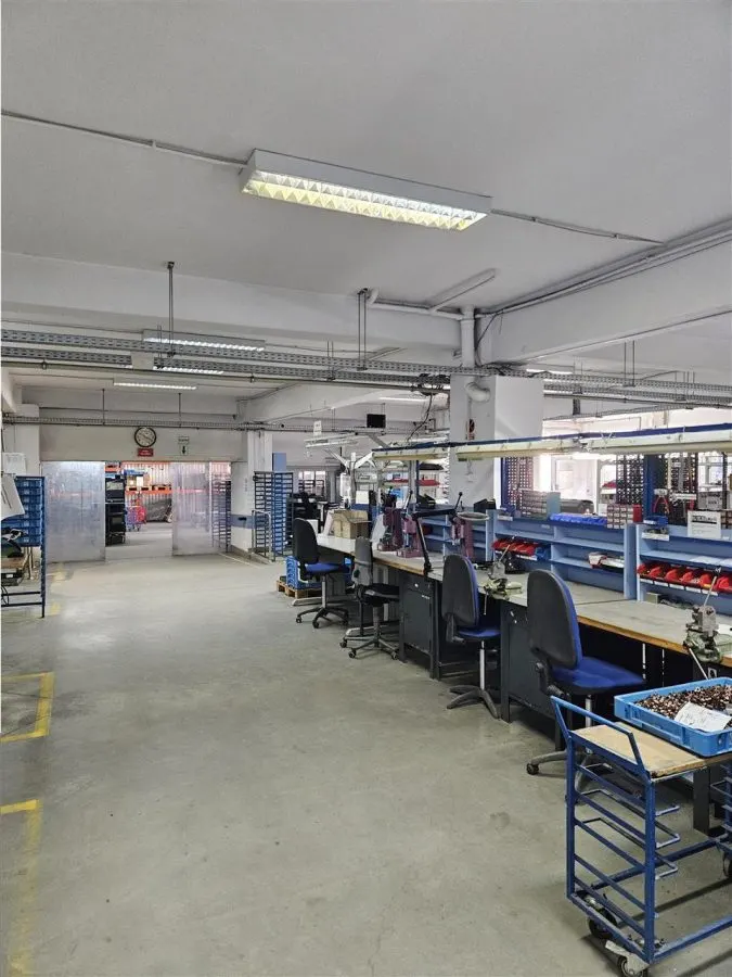 Exclusivitate - Proprietate Industriala De Vanzare - Productie - Depozitare - foto 1