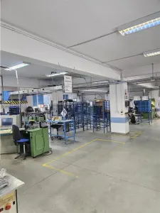 Exclusivitate - Proprietate Industriala De Vanzare - Productie - Depozitare - foto 5