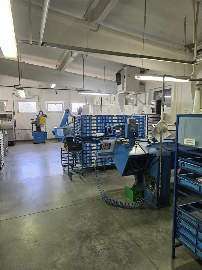 Exclusivitate - Proprietate Industriala De Vanzare - Productie - Depozitare - foto 7