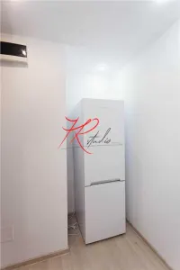 Vanzare apartament 2 camere renovate, Teiul Doamnei - foto 8