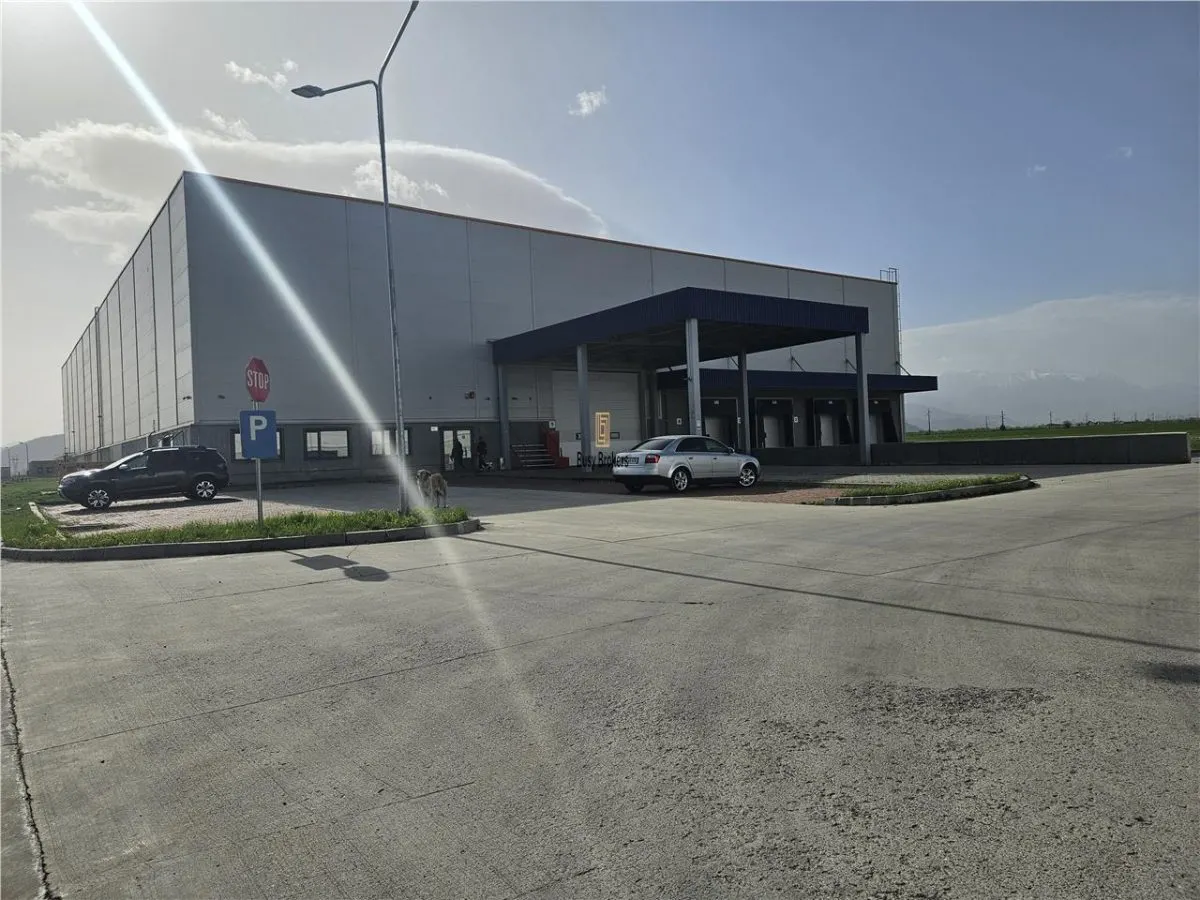 Spatii Industriale - 15000 mp - Logistica - Depozitare - Productie - foto 14
