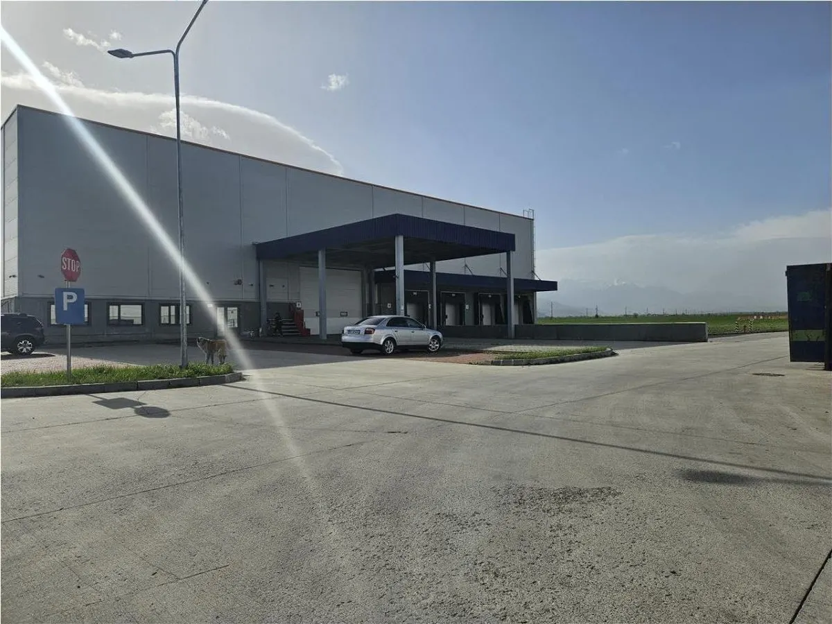 Spatii Industriale - 15000 mp - Logistica - Depozitare - Productie - foto 17