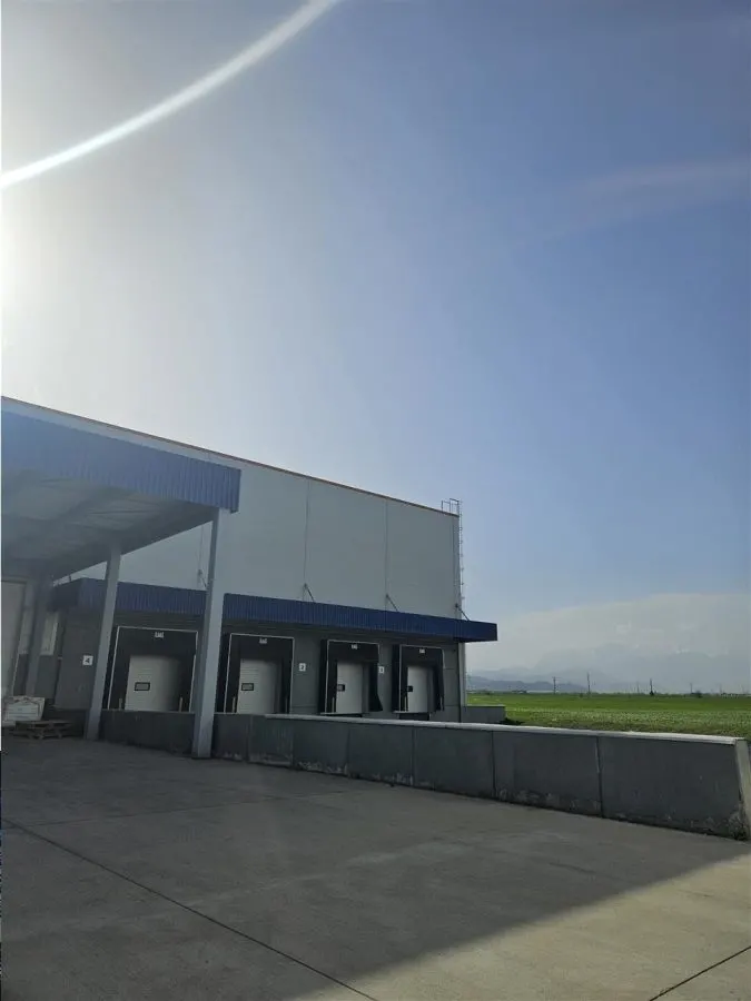 Spatii Industriale - 5000 mp - Logistica - Depozitare - Productie - foto 2