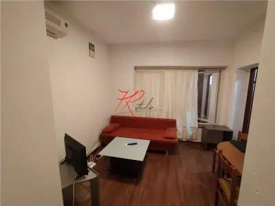 Vanzarea apartament 2 camere in Vila, Unirii, 0% comision - foto 3