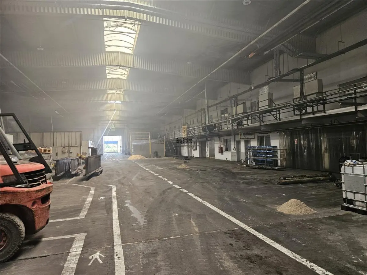 Proprietate Industriala - Productie - Industrie Grea - foto 14
