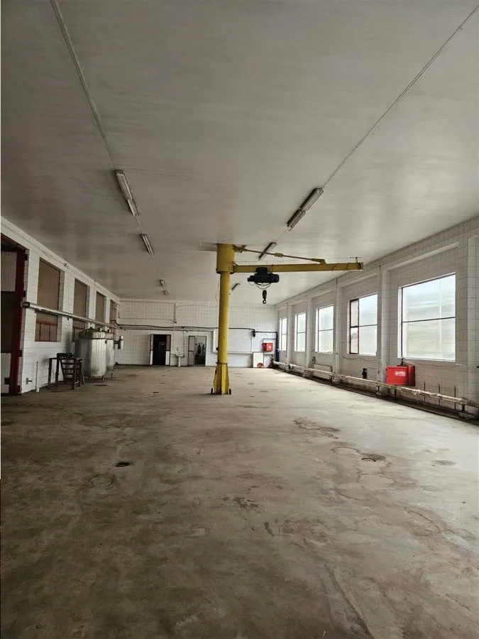 Proprietate Industriala - Productie - Industrie Alimentara - foto 1