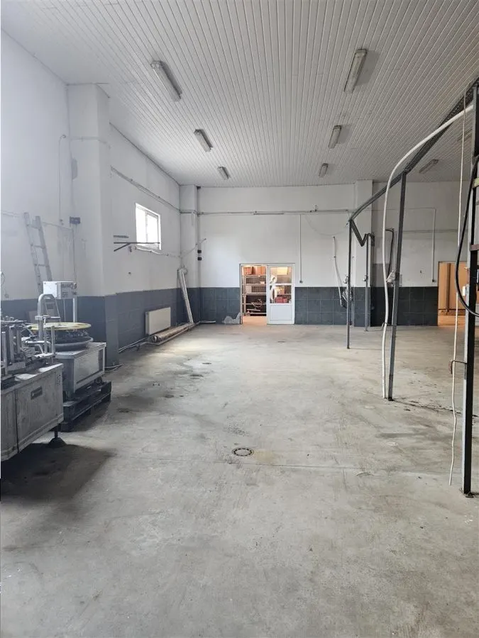 Proprietate Industriala - Productie - Industrie Alimentara - foto 16