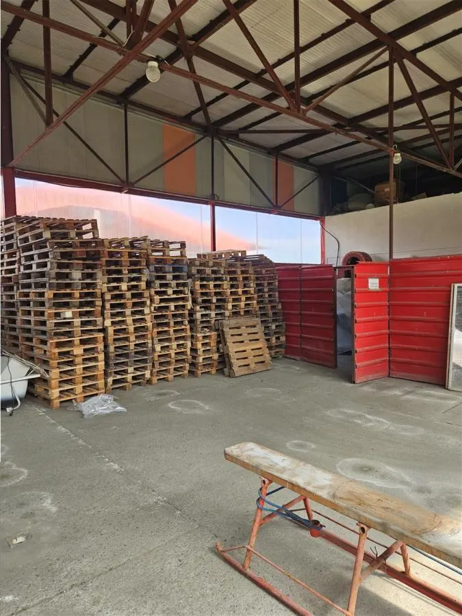 Proprietate Industriala - Productie - Industrie Alimentara - foto 25
