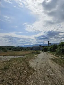 Proprietate Industriala - Productie - Industrie Alimentara - foto 38