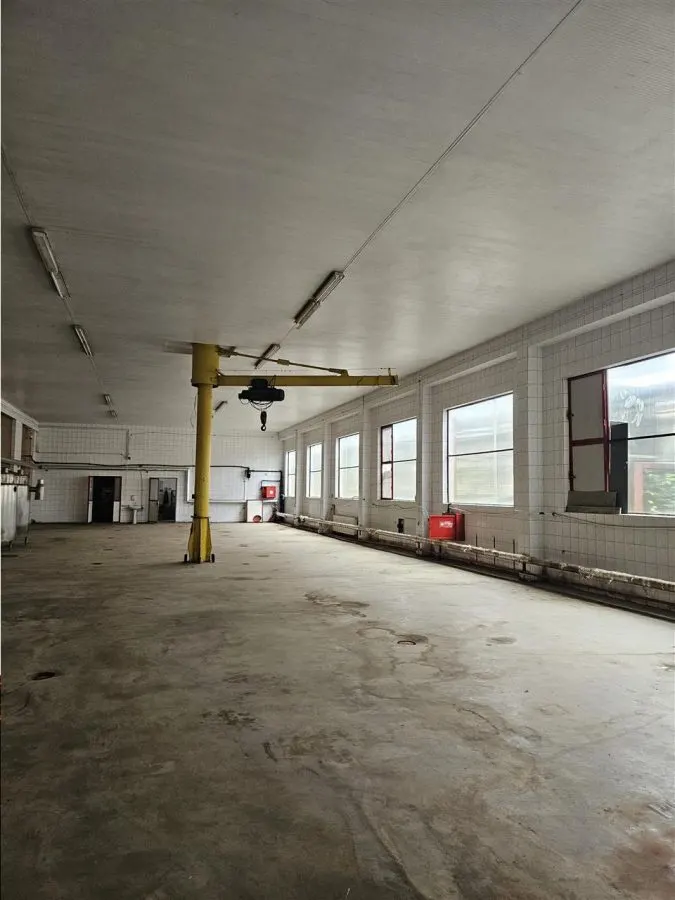 Proprietate Industriala - Productie - Industrie Alimentara - foto 5