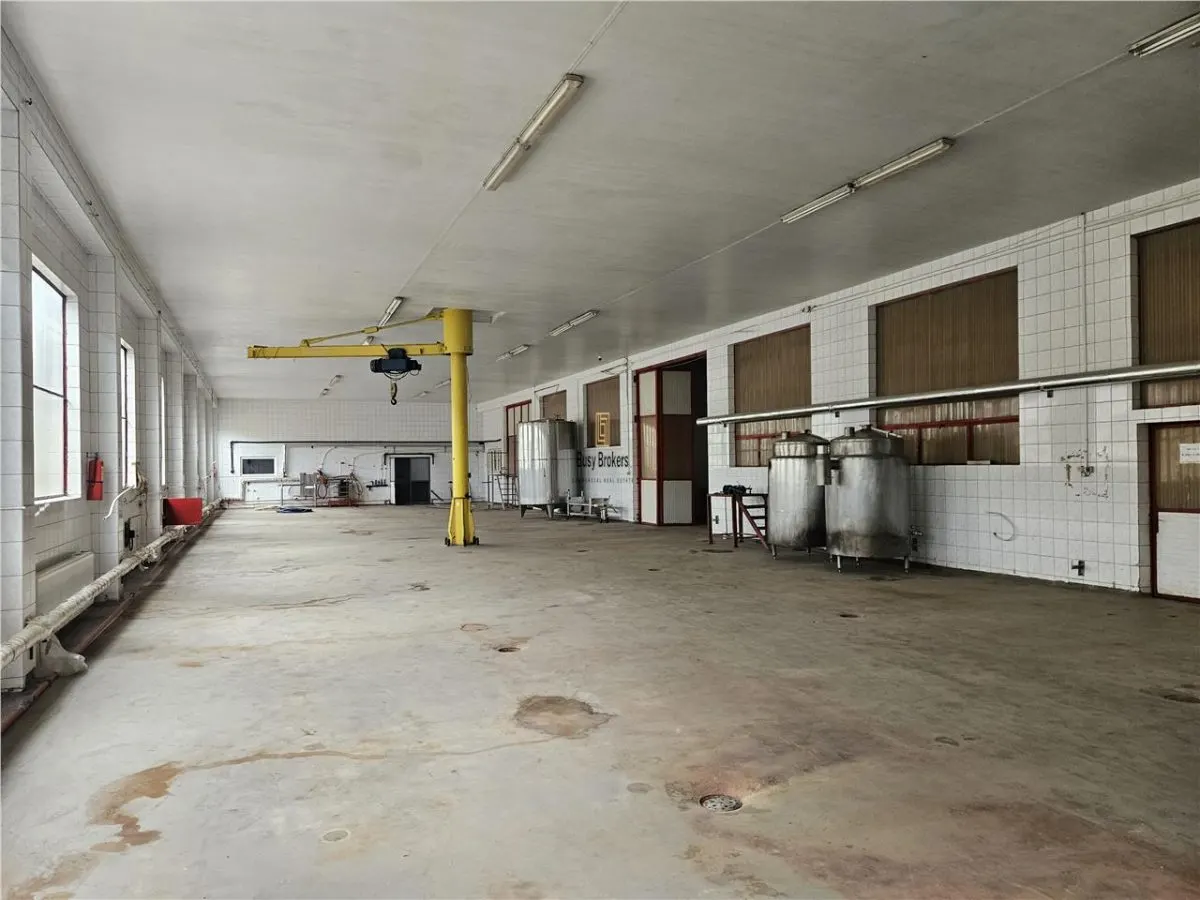 Proprietate Industriala - Productie - Industrie Alimentara - foto 8