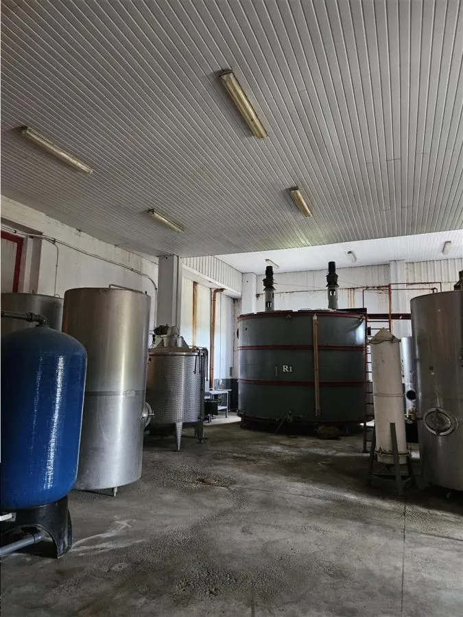 Proprietate Industriala - Productie - Industrie Alimentara - foto 10