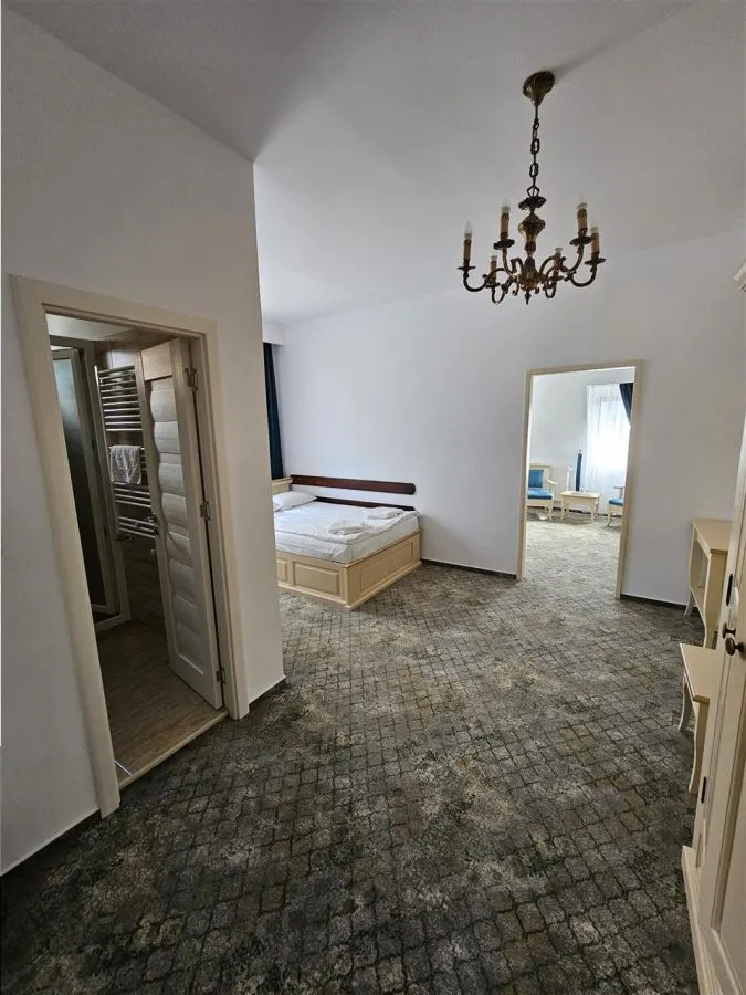 Hotel de inchiriat in Sibiu Zona Premium Calea Dumbravii - foto 13
