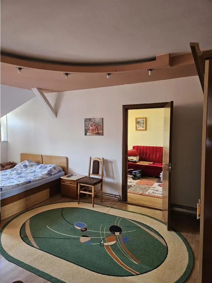 Vila spatioasa, hale si teren total 1700 mp, Calea Surii Mici, Sibiu - foto 13
