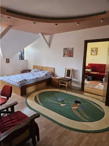 Vila spatioasa, hale si teren total 1700 mp, Calea Surii Mici, Sibiu - foto 14
