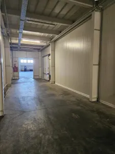 Spatii Frigorifice - 2000 mp - Depozitare - Refrigerare - foto 4