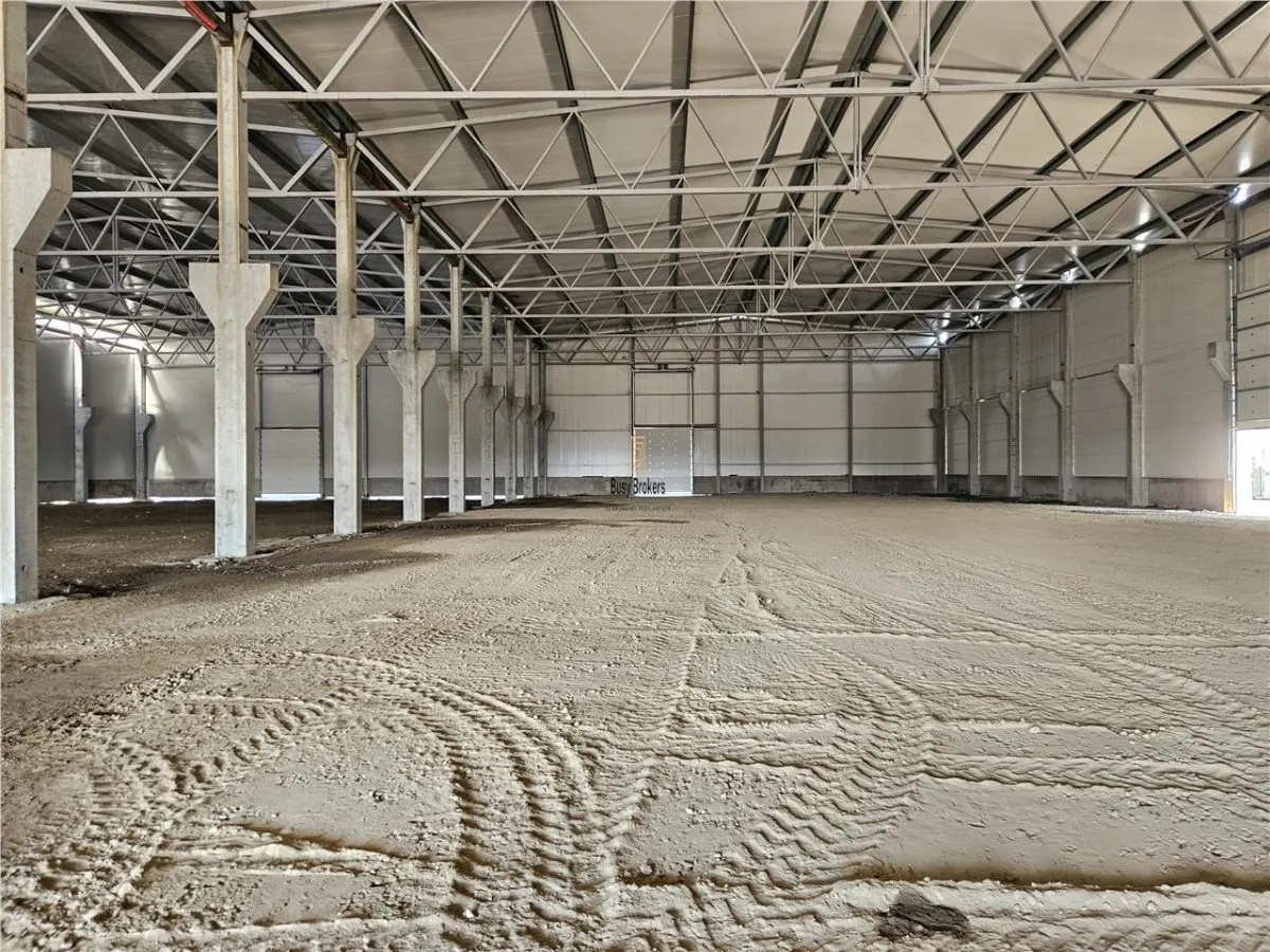Spatiu Industrial - 4500 mp - Logistica - Depozitare - Productie - foto 6