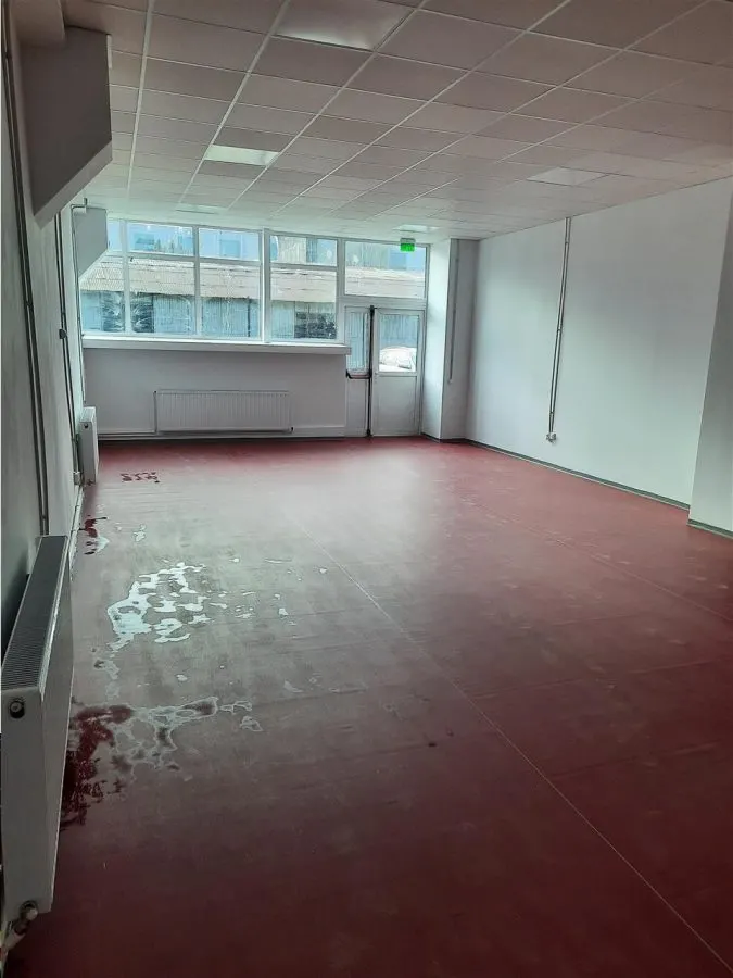 Spatiu Industrial - 1300 mp - Productie - Depozitare - Distributie - foto 20