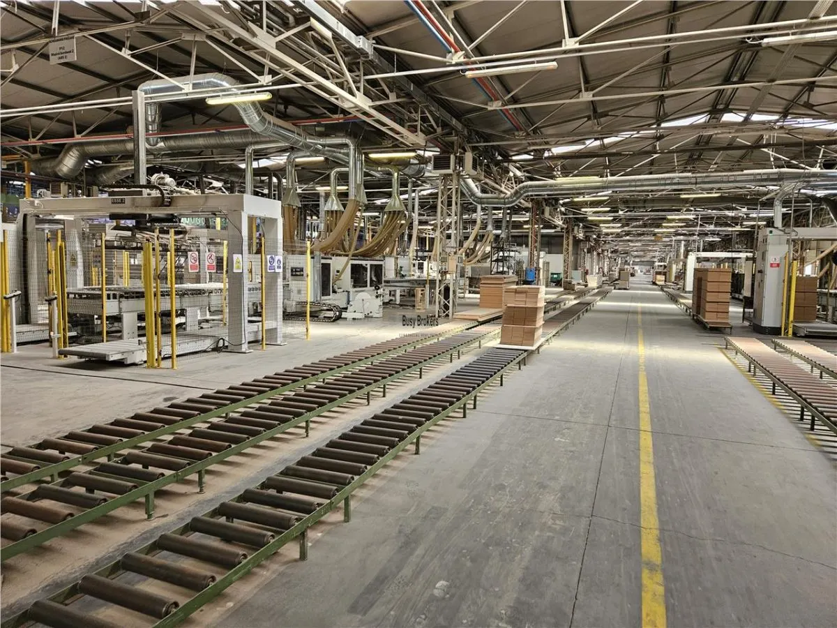 Spatiu Industrial -  2500 mp - Productie - Depozitare - Distributie - foto 4