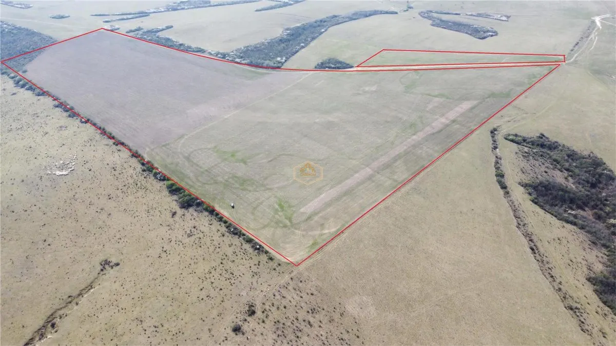 Investitie | Teren agricol 26.82 Ha in Ardud | Oportunitate dezvoltare - foto 1