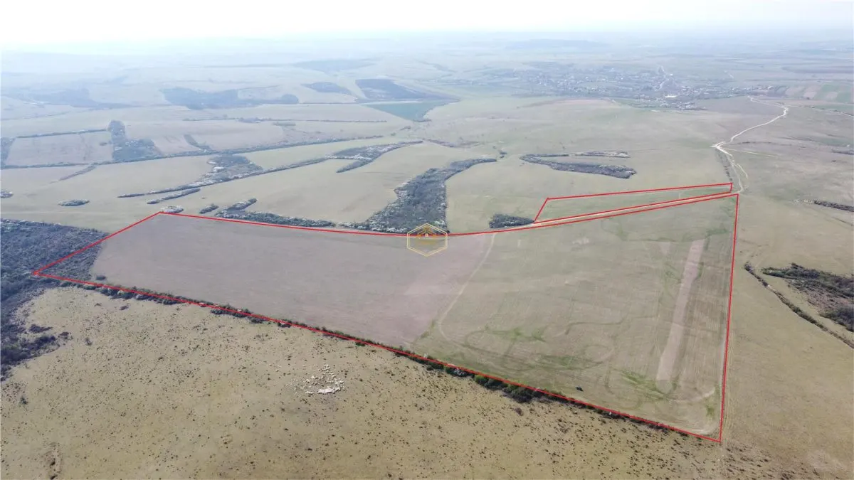 Investitie | Teren agricol 26.82 Ha in Ardud | Oportunitate dezvoltare - foto 2