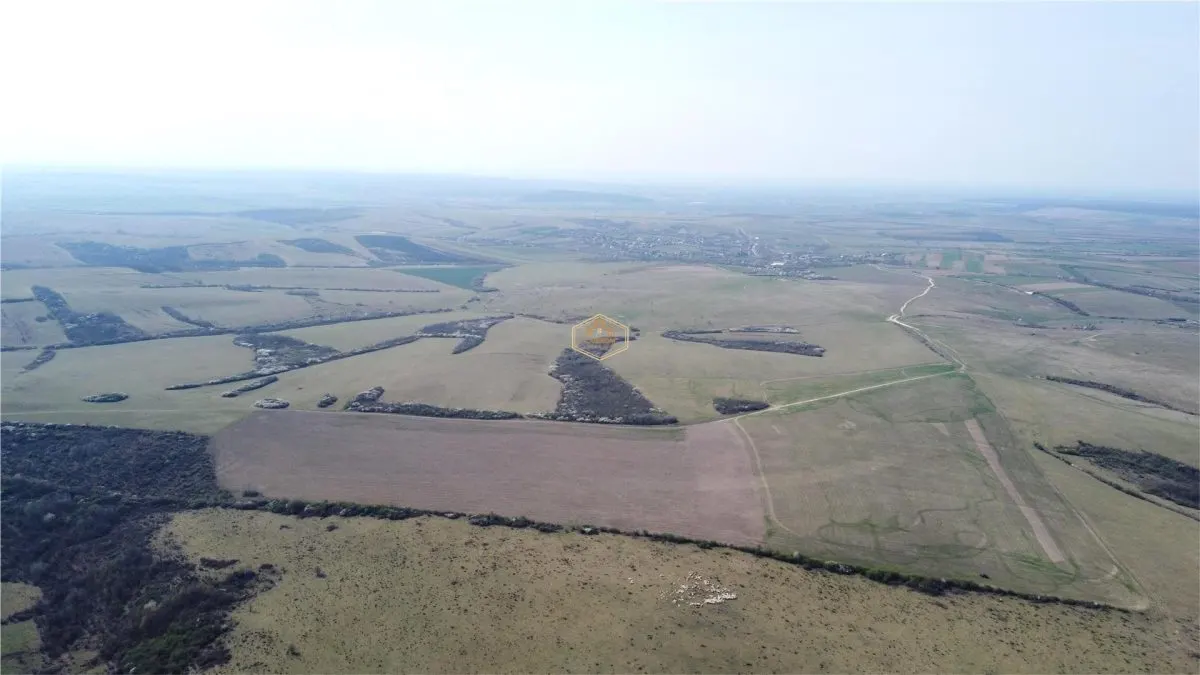 Investitie | Teren agricol 26.82 Ha in Ardud | Oportunitate dezvoltare - foto 3