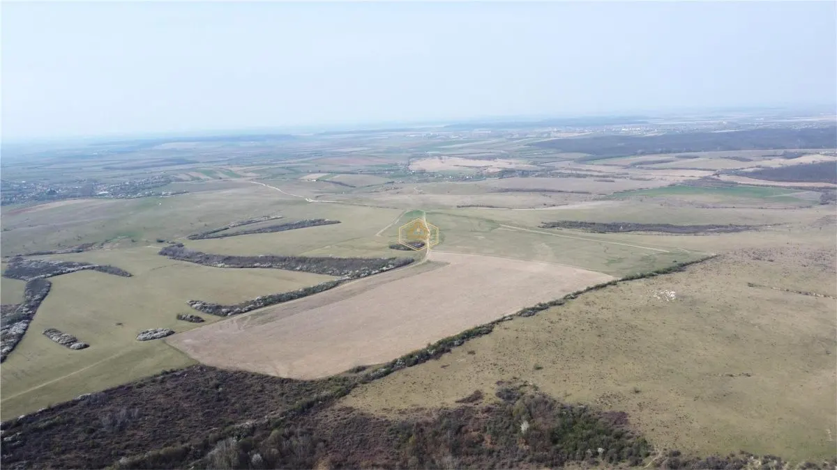 Investitie | Teren agricol 26.82 Ha in Ardud | Oportunitate dezvoltare - foto 5