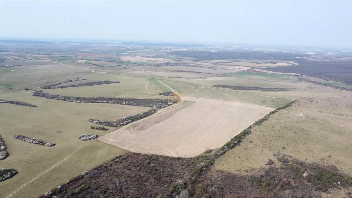 Investitie | Teren agricol 26.82 Ha in Ardud | Oportunitate dezvoltare - foto 6