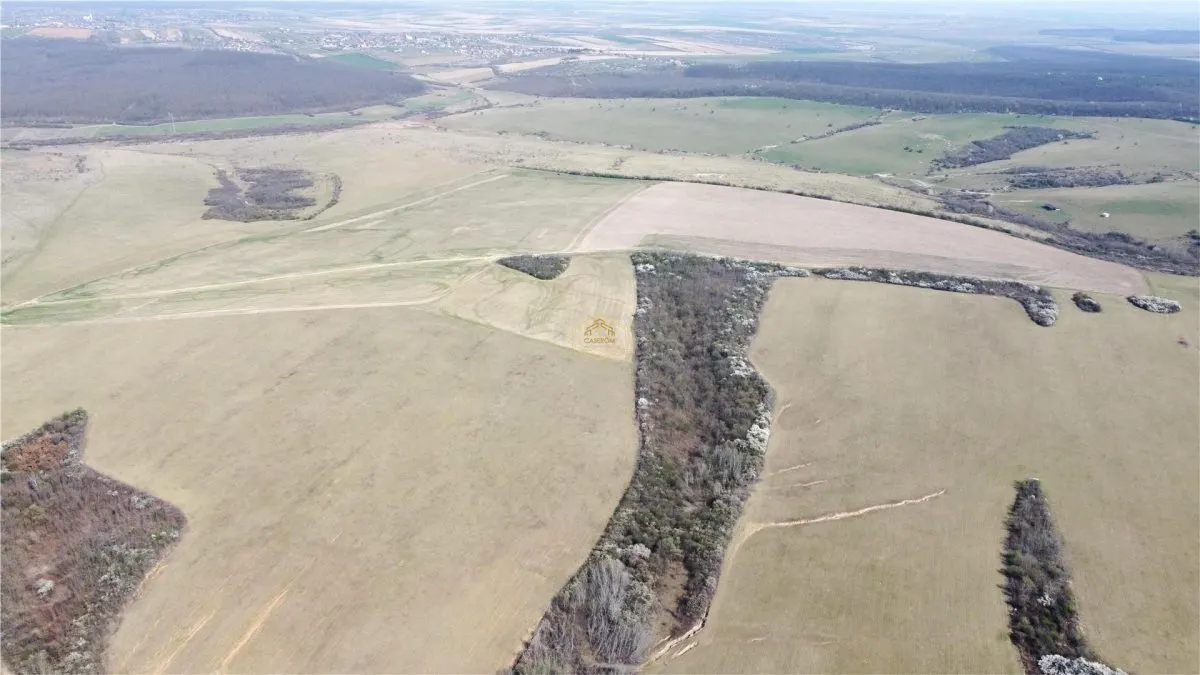 Investitie | Teren agricol 26.82 Ha in Ardud | Oportunitate dezvoltare - foto 7