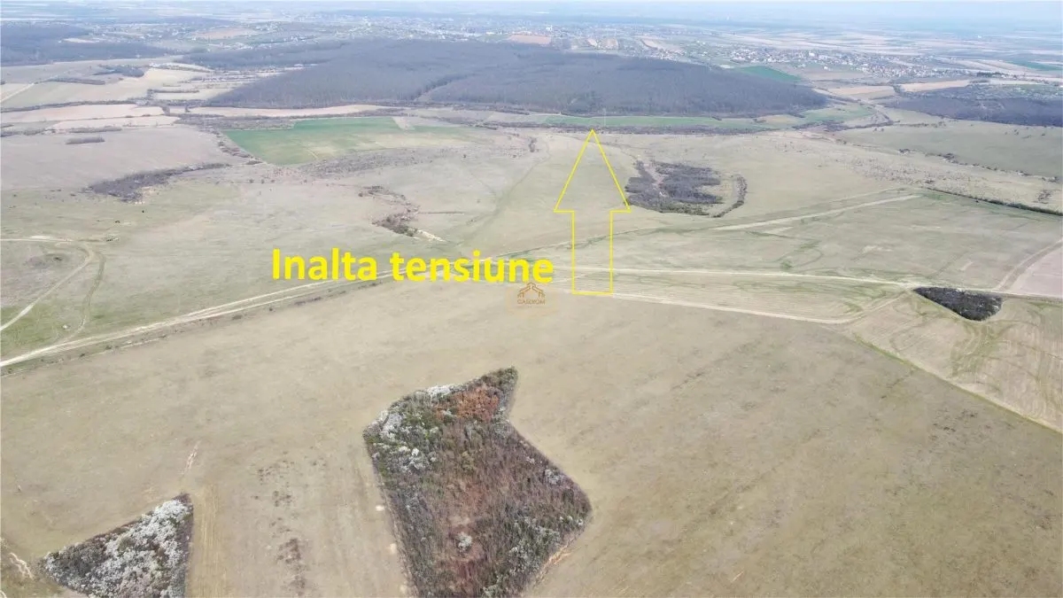 Investitie | Teren agricol 26.82 Ha in Ardud | Oportunitate dezvoltare - foto 8