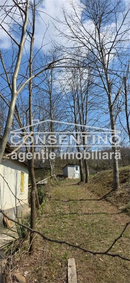 Se vinde casa in Tisau  , cu priveliste panoramica asupra delurilor - foto 4