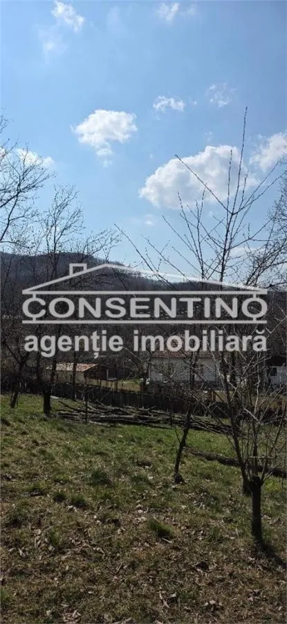 Se vinde casa in Tisau  , cu priveliste panoramica asupra delurilor - foto 8