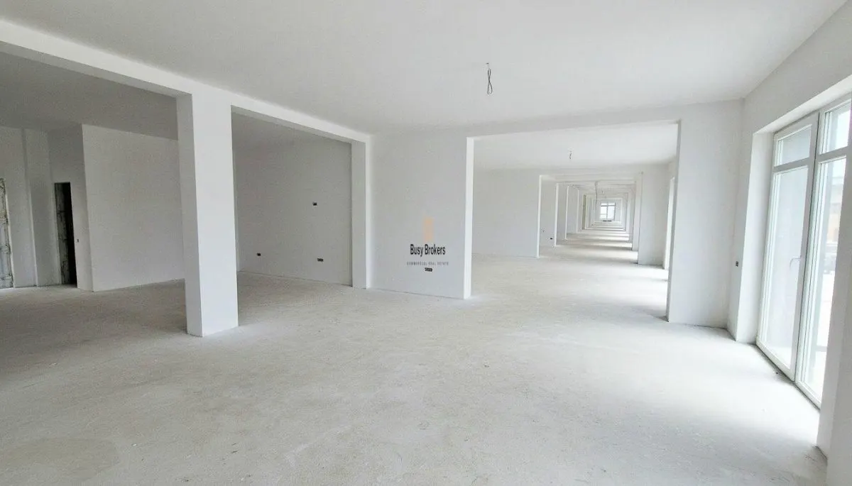 Spatiu Comercial - 300 mp - Doamna Stanca - foto 2