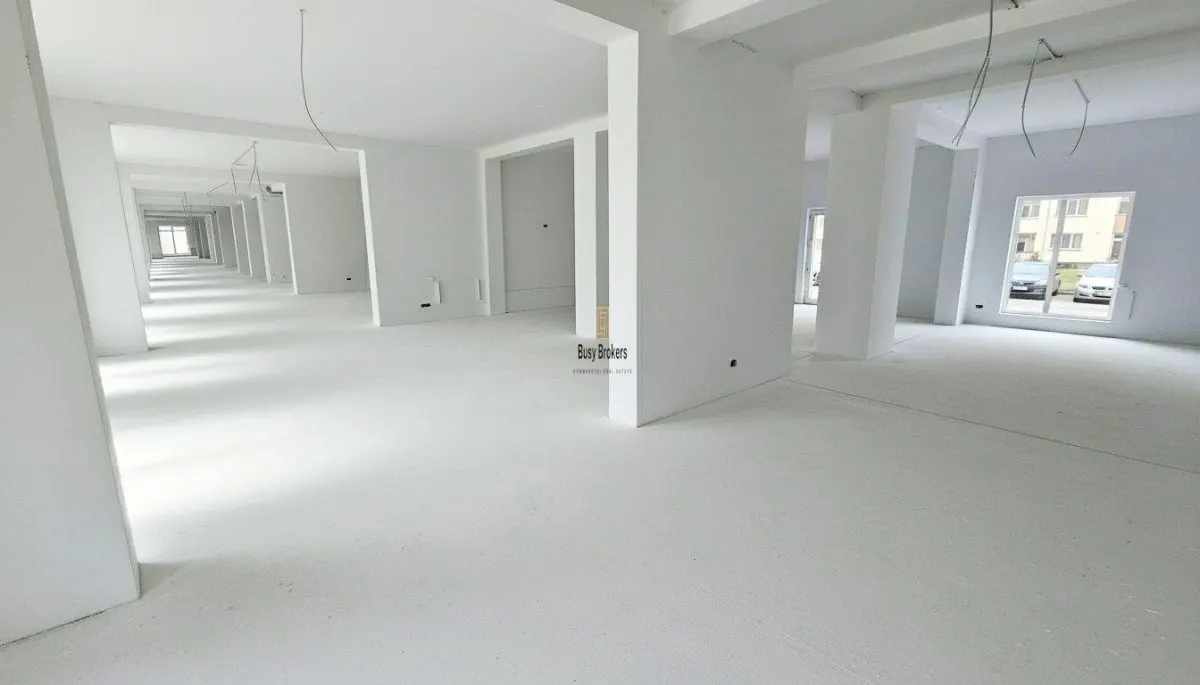Spatiu Comercial - 300 mp - Doamna Stanca - foto 4