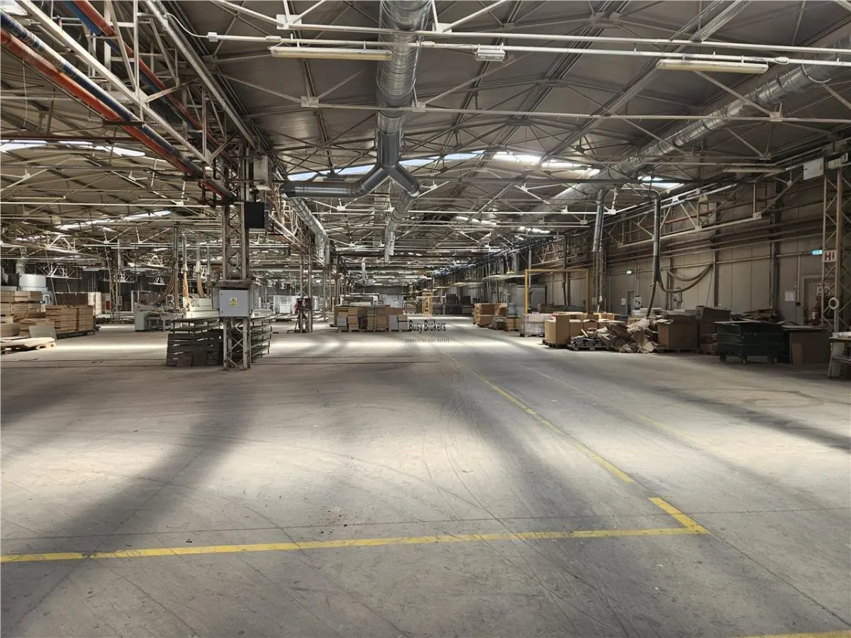 Proprietate Industriala - 16000 mp - Productie - Depozitare - Office - foto 20