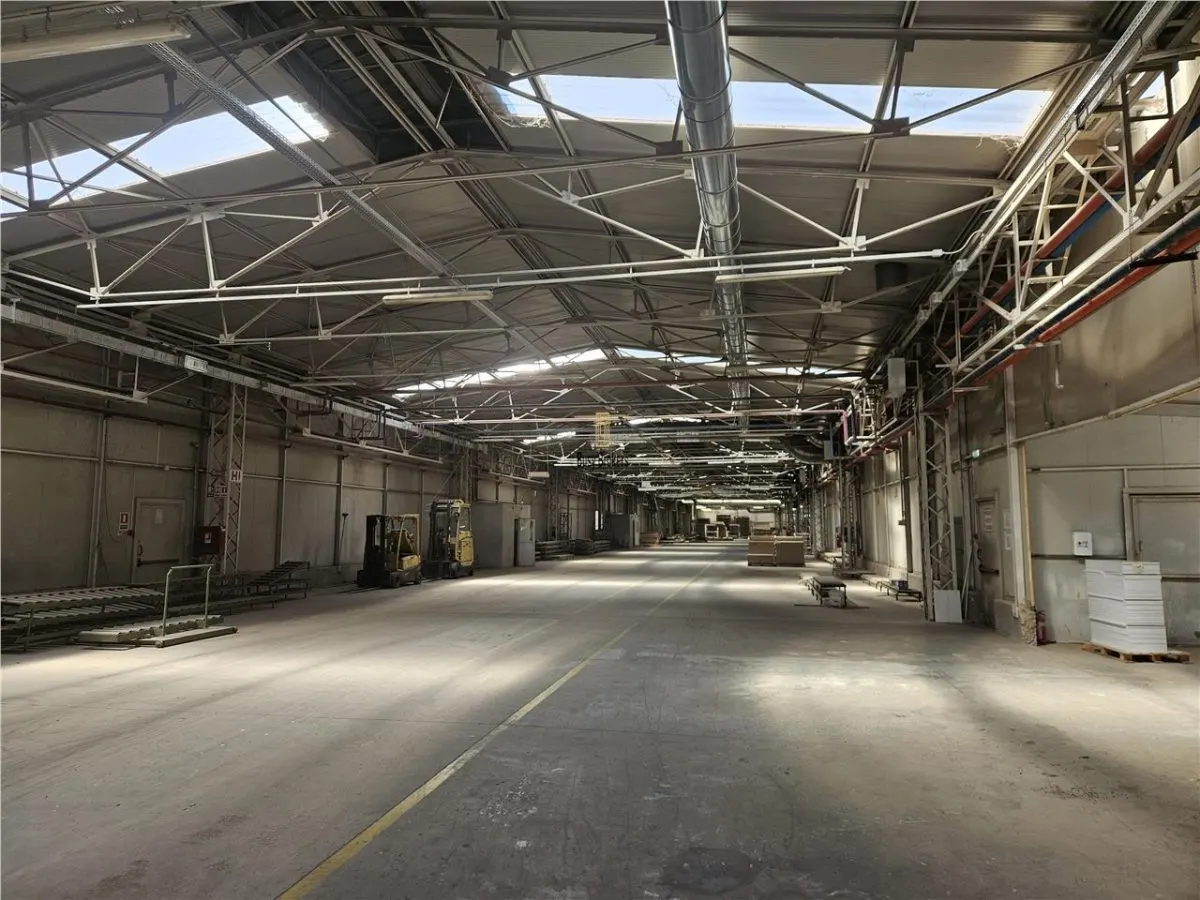 Proprietate Industriala - 16000 mp - Productie - Depozitare - Office - foto 21