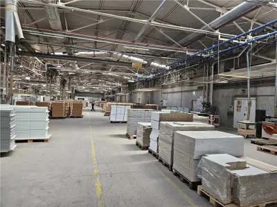 Spatiu Industrial - 5000 mp - Productie - Depozitare - foto 28