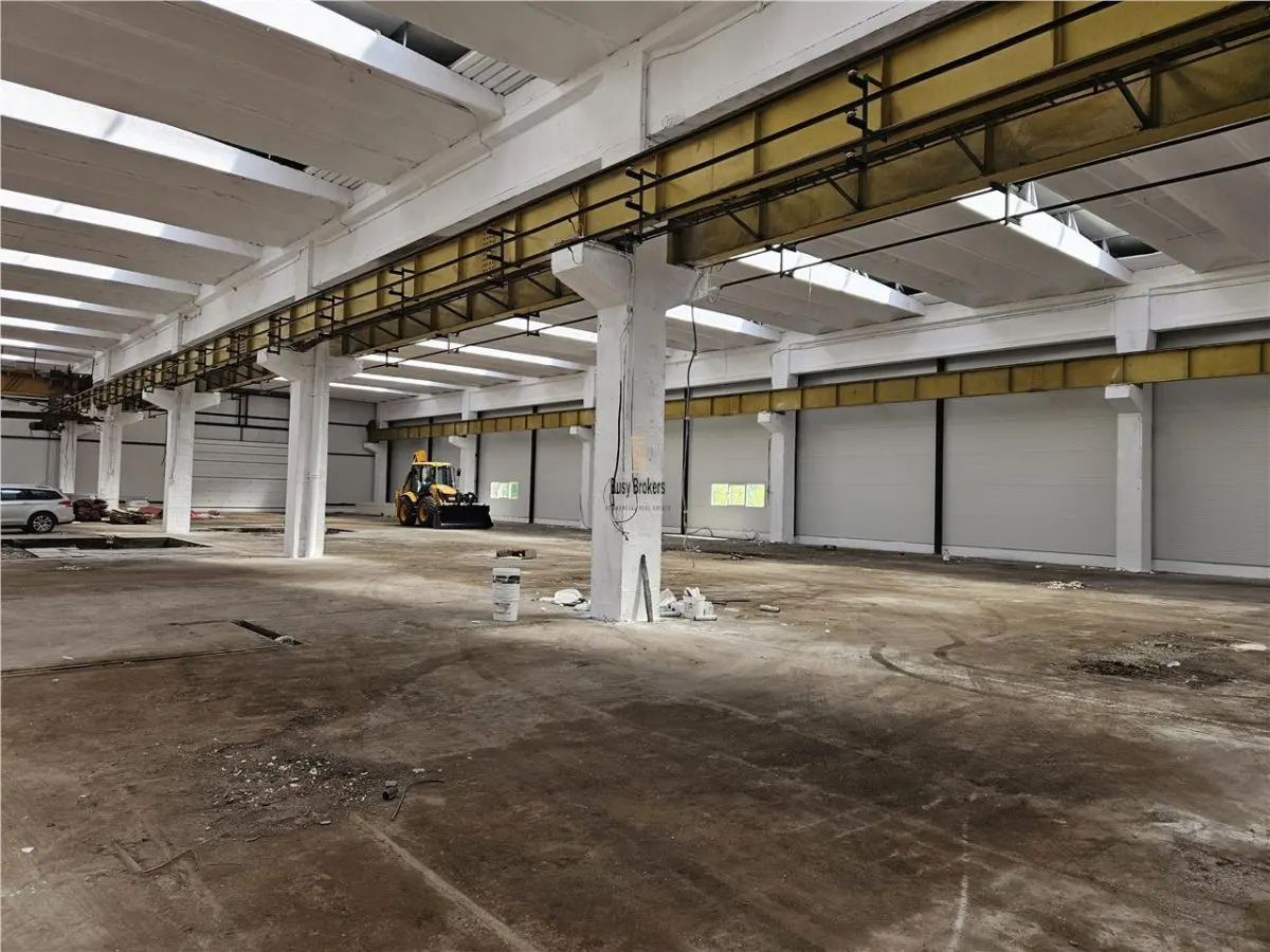 Spatiu Industrial -  6500 mp - Productie - Depozitare - foto 1