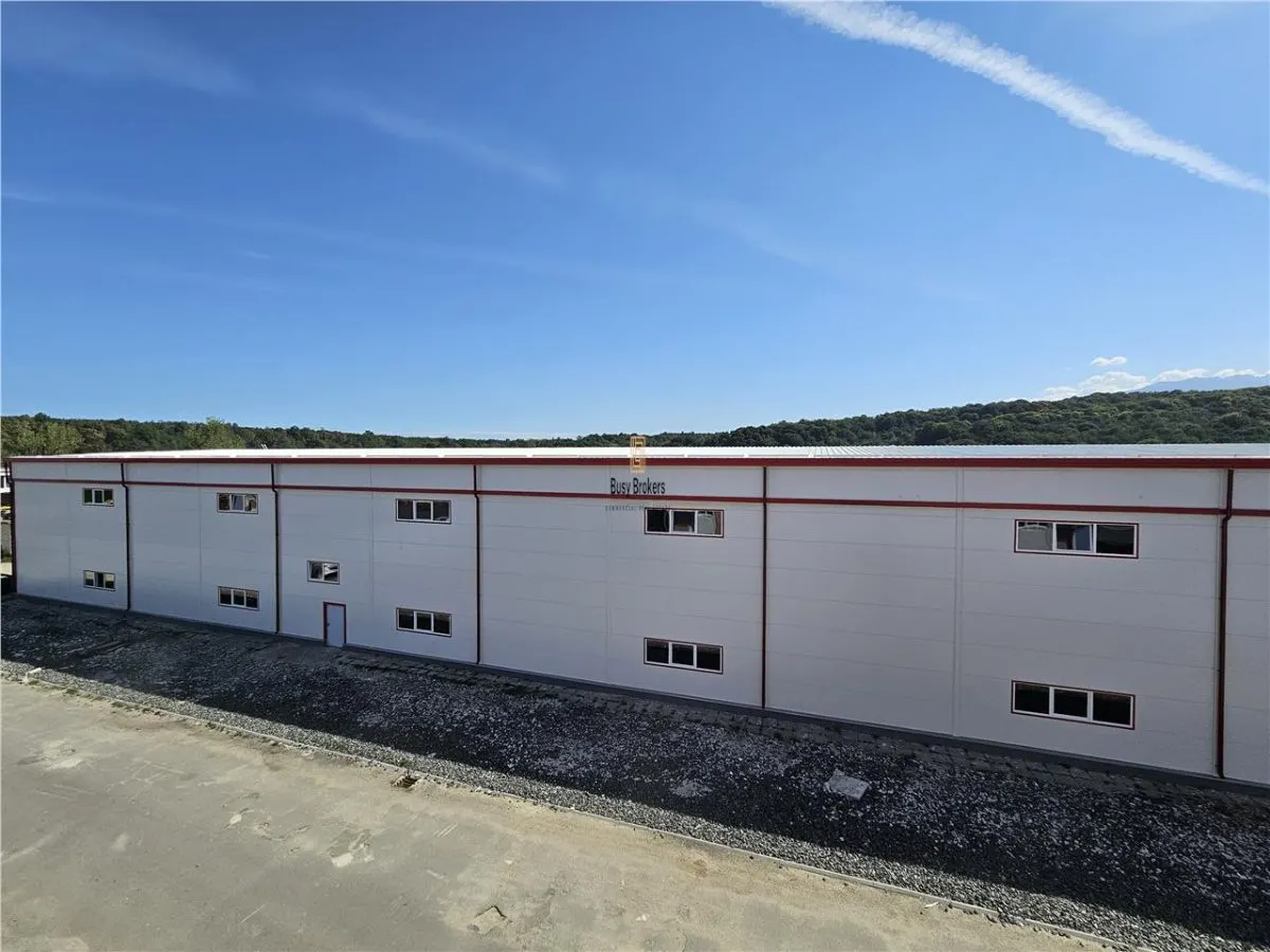 Spatiu Industrial -  6500 mp - Productie - Depozitare - foto 4