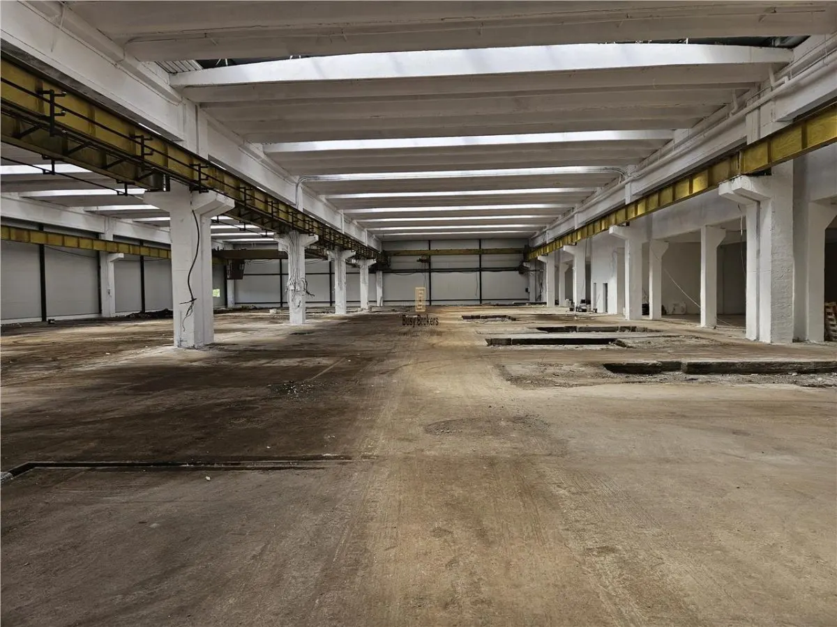 Spatiu Industrial -  6500 mp - Productie - Depozitare - foto 6