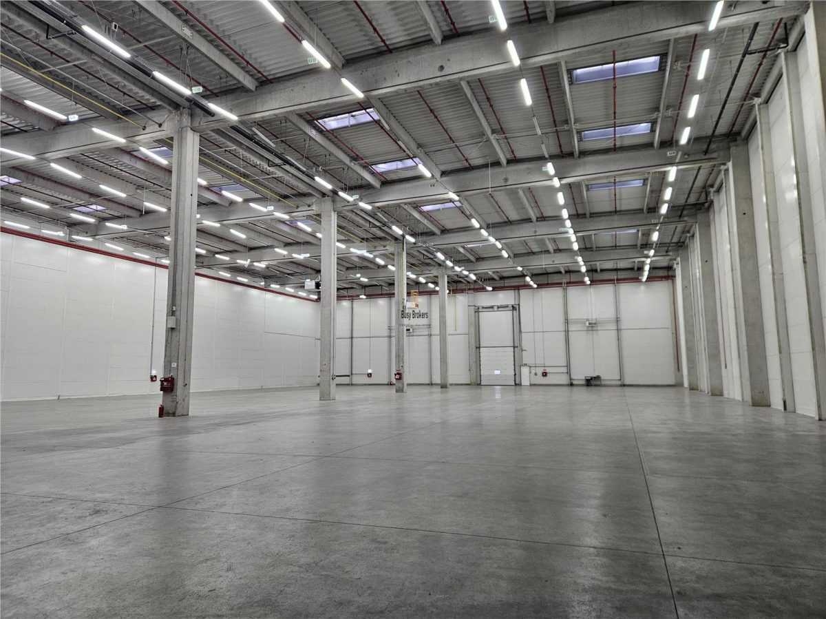Spatiu Industrial - 3200 mp - Logistica - Depozitare - Distributie - foto 15