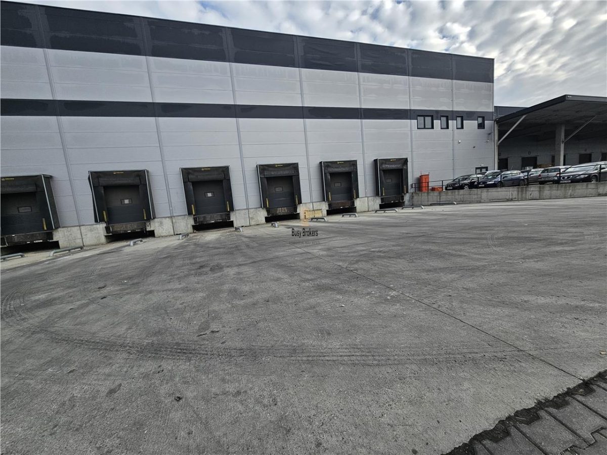 Spatiu Industrial - 3200 mp - Logistica - Depozitare - Distributie - foto 17