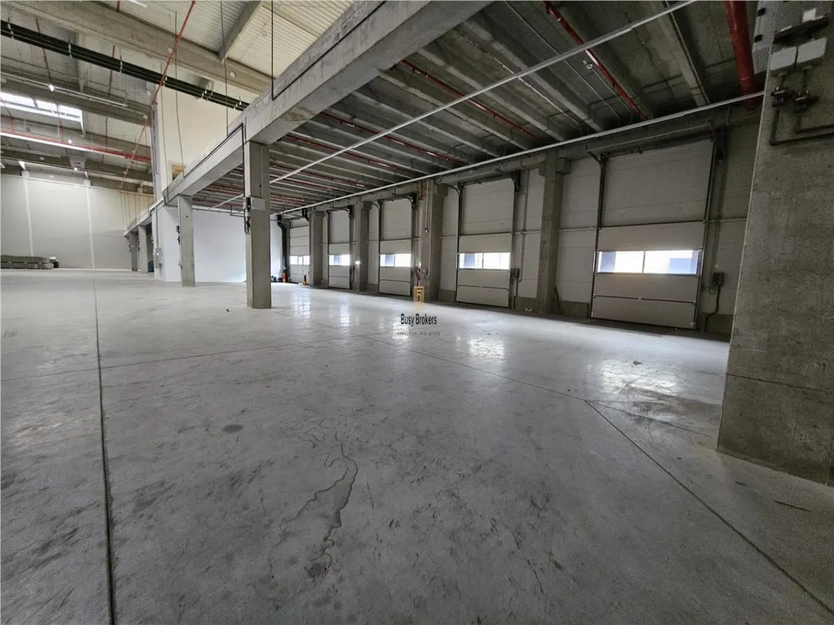 Spatiu Industrial - 6000 mp - Logistica - Productie - Depozitare - Distributie - foto 12