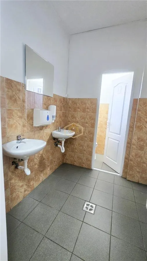 VIDEO | Spatiu comercial ULTRACENTRAL 106 mp + Subsol 105 mp | I.C.Bratianu - foto 10