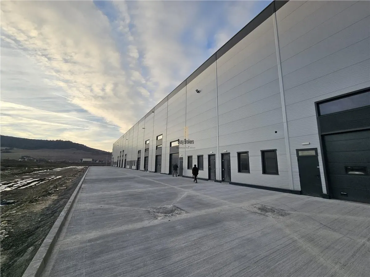 Spatii Industriale - 7000 mp - Logistica - Productie - Depozitare - foto 7